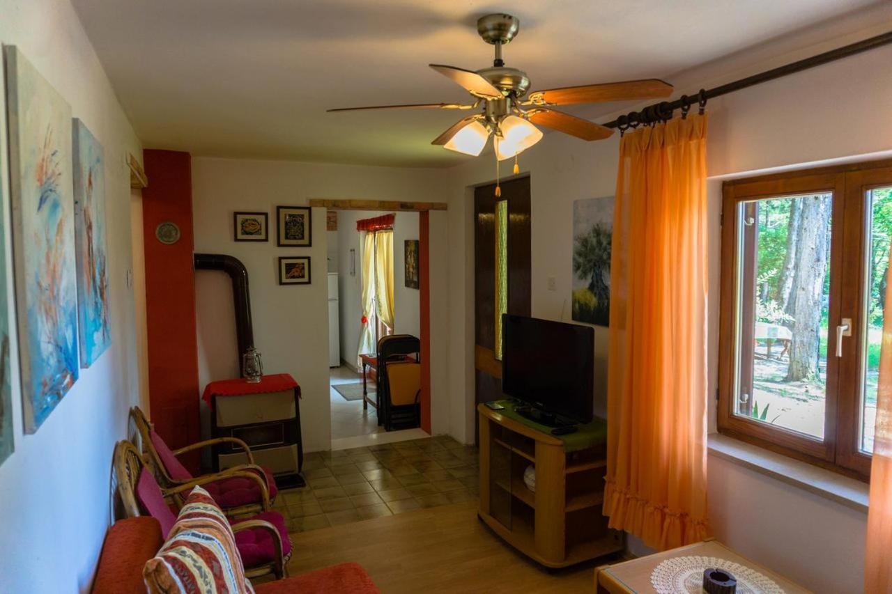 Villa Pineta Gračišče Exterior foto
