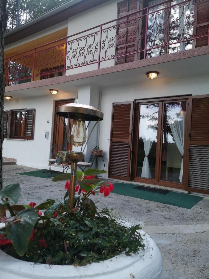 Villa Pineta Gračišče Exterior foto