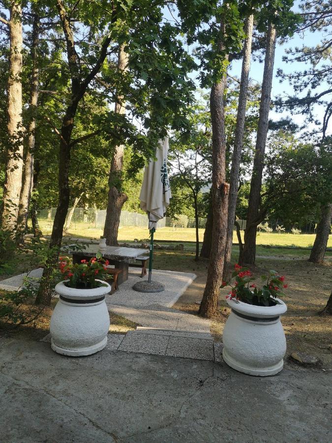 Villa Pineta Gračišče Exterior foto